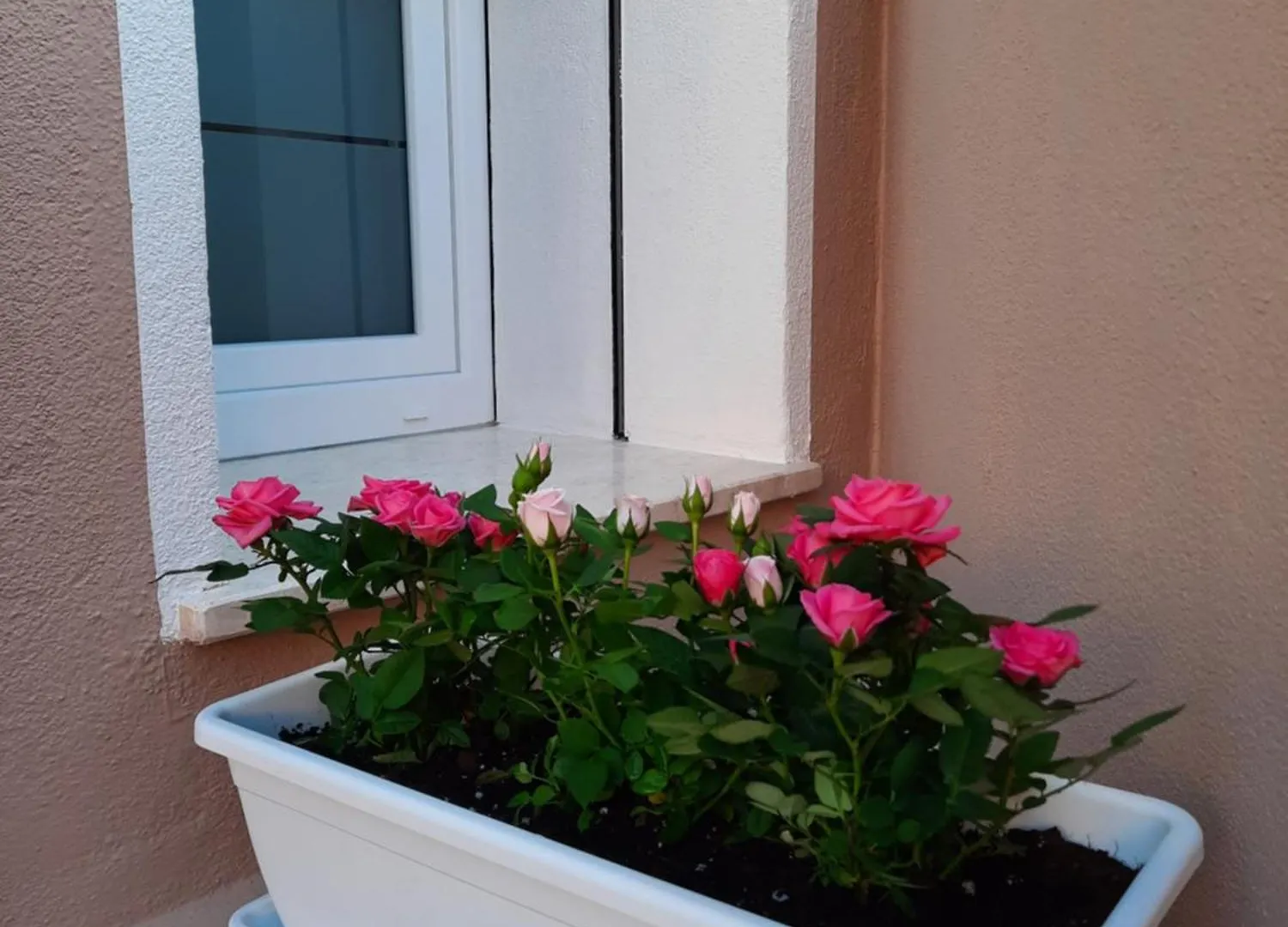 Holiday Home Dolia Center Dolianova